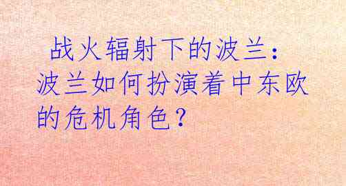 战火辐射下的波兰:波兰如何扮演着中东欧的危机角色?