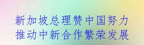 新加坡总理赞中国努力 推动中新合作繁荣发展