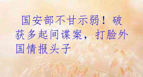  国安部不甘示弱！破获多起间谍案，打脸外国情报头子