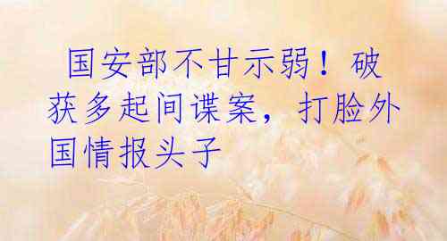  国安部不甘示弱！破获多起间谍案，打脸外国情报头子 