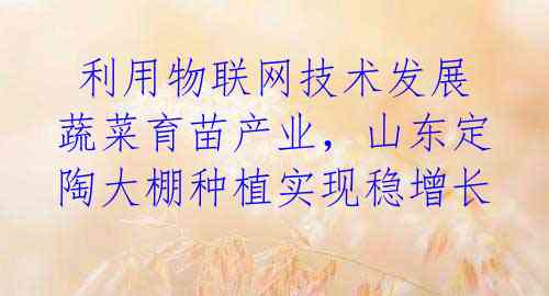  利用物联网技术发展蔬菜育苗产业，山东定陶大棚种植实现稳增长