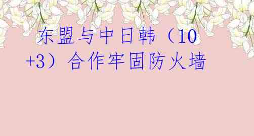  东盟与中日韩（10+3）合作牢固防火墙 