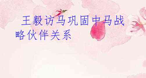  王毅访马巩固中马战略伙伴关系