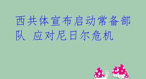 西共体宣布启动常备部队 应对尼日尔危机