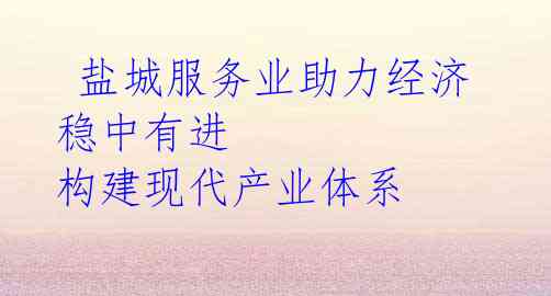  盐城服务业助力经济稳中有进 构建现代产业体系