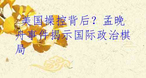 美国操控背后?孟晚舟事件揭示国际政治棋局