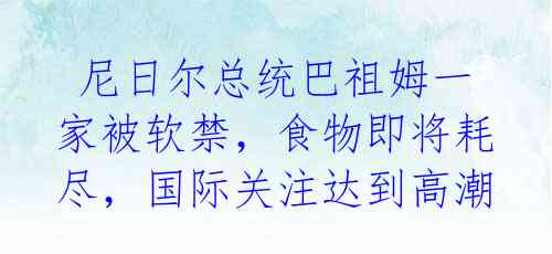 尼日尔总统巴祖姆一家被软禁,食物即将耗尽,国际关注达到高潮