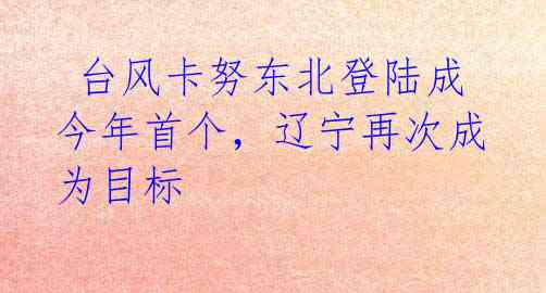  台风卡努东北登陆成今年首个，辽宁再次成为目标 