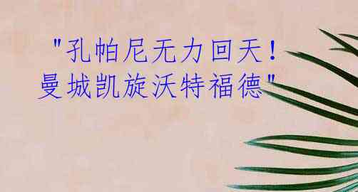 "孔帕尼无力回天!曼城凯旋沃特福德"