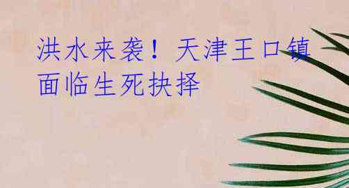 洪水来袭!天津王口镇面临生死抉择