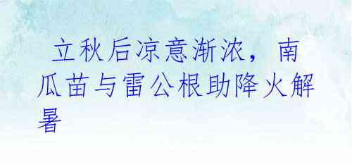 立秋后凉意渐浓,南瓜苗与雷公根助降火解暑
