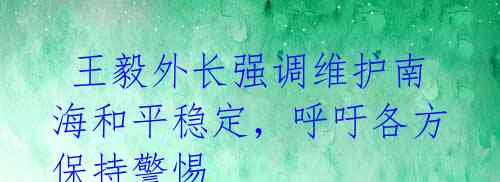  王毅外长强调维护南海和平稳定，呼吁各方保持警惕 