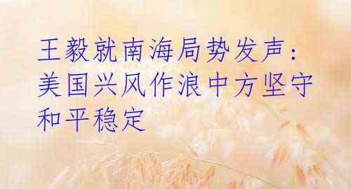 王毅就南海局势发声: 美国兴风作浪中方坚守和平稳定