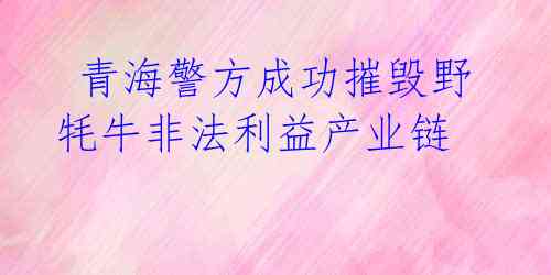 青海警方成功摧毁野牦牛非法利益产业链