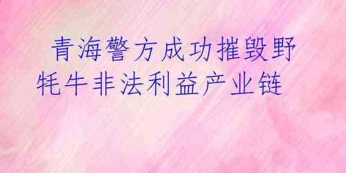  青海警方成功摧毁野牦牛非法利益产业链 