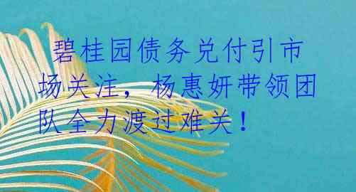  碧桂园债务兑付引市场关注，杨惠妍带领团队全力渡过难关！ 