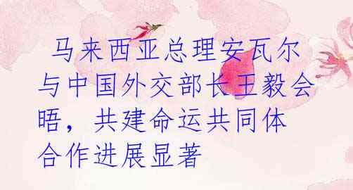 马来西亚总理安瓦尔与中国外交部长王毅会晤,共建命运共同体 合作进展显著