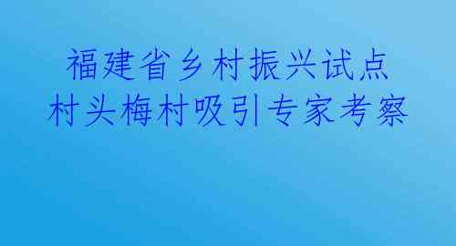  福建省乡村振兴试点村头梅村吸引专家考察 