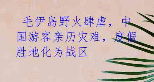 毛伊岛野火肆虐,中国游客亲历灾难,度假胜地化为战区