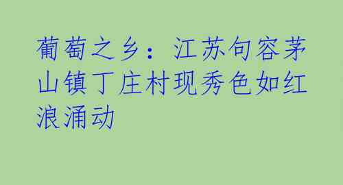 葡萄之乡:江苏句容茅山镇丁庄村现秀色如红浪涌动