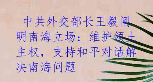  中共外交部长王毅阐明南海立场：维护领土主权，支持和平对话解决南海问题 