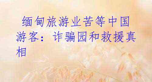 缅甸旅游业苦等中国游客:诈骗园和救援真相