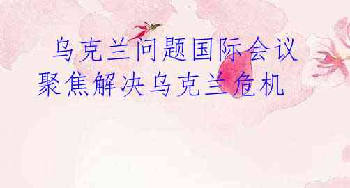乌克兰问题国际会议聚焦解决乌克兰危机