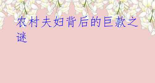 农村夫妇背后的巨款之谜