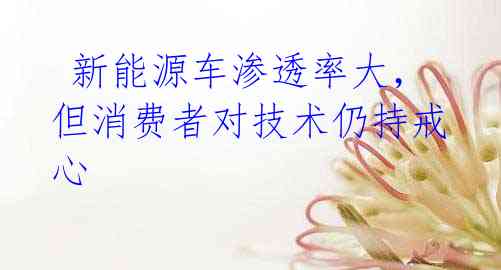 新能源车渗透率大,但消费者对技术仍持戒心