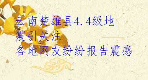 云南楚雄县4.4级地震引关注 各地网友纷纷报告震感