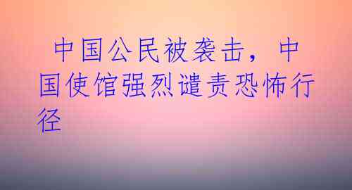 中国公民被袭击,中国使馆强烈谴责恐怖行径