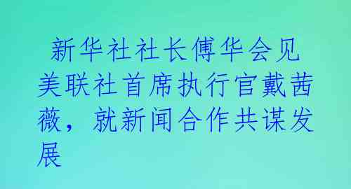  新华社社长傅华会见美联社首席执行官戴茜薇，就新闻合作共谋发展 