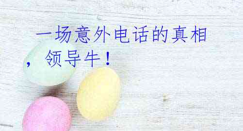 一场意外电话的真相,领导牛!