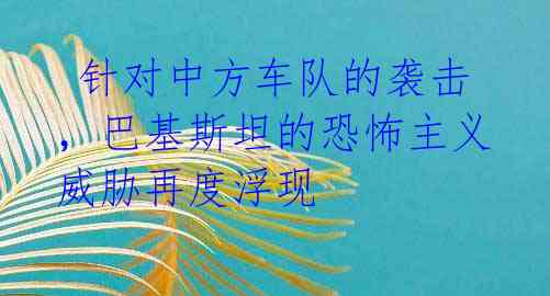 针对中方车队的袭击,巴基斯坦的恐怖主义威胁再度浮现