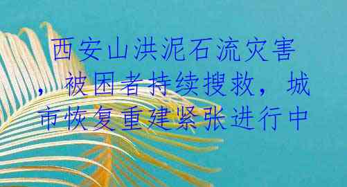 西安山洪泥石流灾害,被困者持续搜救,城市恢复重建紧张进行中