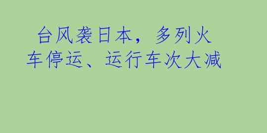  台风袭日本，多列火车停运、运行车次大减 