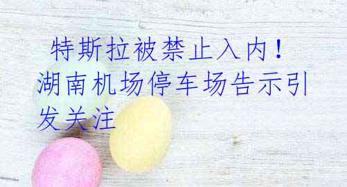 特斯拉被禁止入内!湖南机场停车场告示引发关注