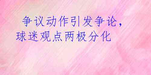 争议动作引发争论,球迷观点两极分化