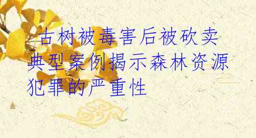 古树被毒害后被砍卖 典型案例揭示森林资源犯罪的严重性