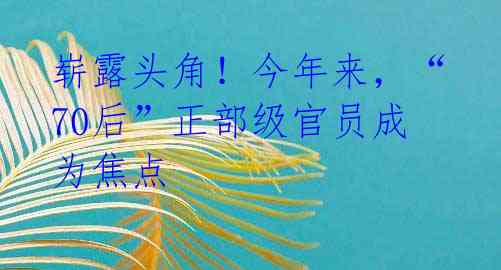 崭露头角!今年来,“70后”正部级官员成为焦点
