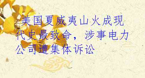 美国夏威夷山火成现代史最致命,涉事电力公司遭集体诉讼