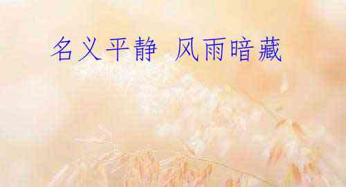 名义平静 风雨暗藏