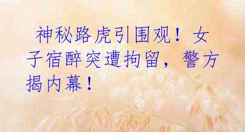 神秘路虎引围观!女子宿醉突遭拘留,警方揭内幕!