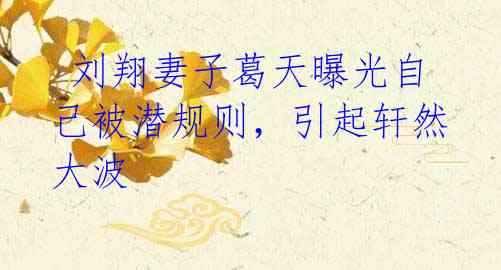 刘翔妻子葛天曝光自己被潜规则,引起轩然大波