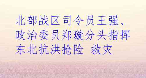 北部战区司令员王强、政治委员郑璇分头指挥东北抗洪抢险 救灾