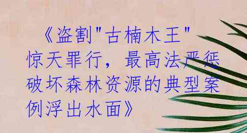 《盗割"古楠木王"惊天罪行,最高法严惩破坏森林资源的典型案例浮出水面》
