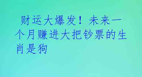  财运大爆发！未来一个月赚进大把钞票的生肖是狗 