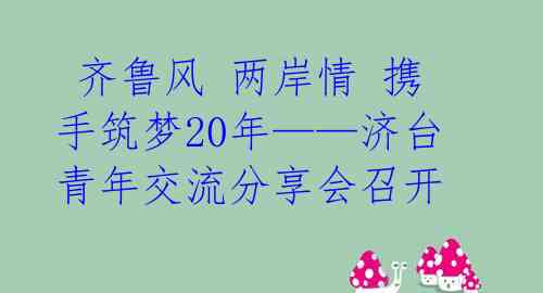  齐鲁风 两岸情 携手筑梦20年——济台青年交流分享会召开 