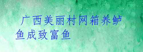 广西美丽村网箱养鲈鱼成致富鱼