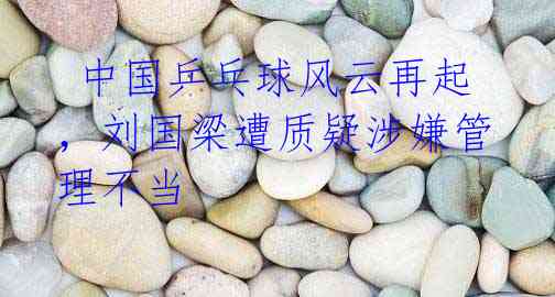 中国乒乓球风云再起,刘国梁遭质疑涉嫌管理不当